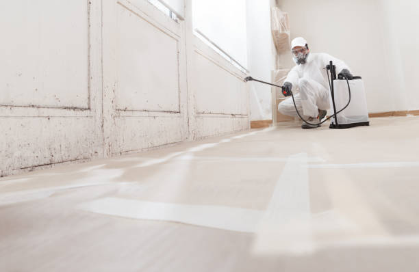 24/7 Emergency Mold Remediation experts in Kent City, MI
